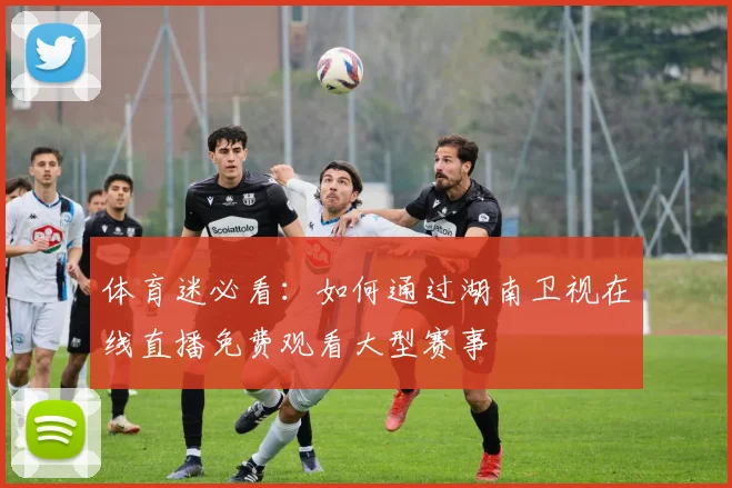 体育迷必看：如何通过湖南卫视在线直播免费观看大型赛事