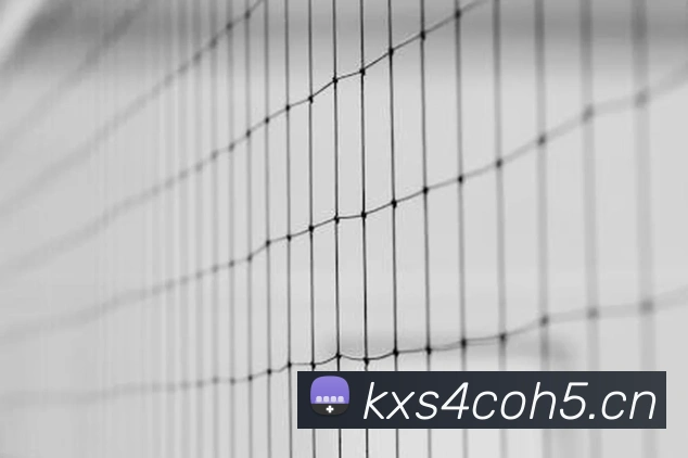 奇异果app官网下载入口发展历程